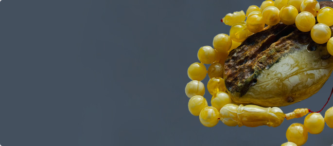 Natural Baltic Amber